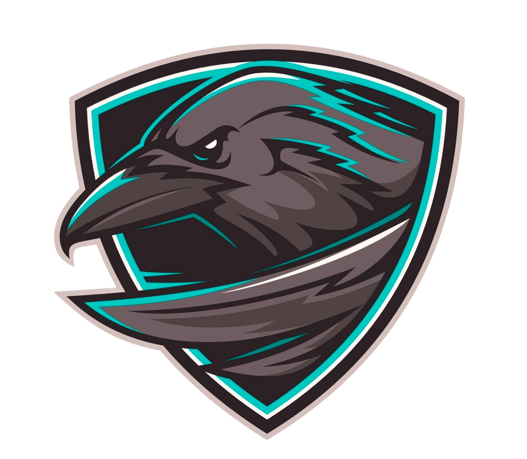 Cowichan Valley Ravens